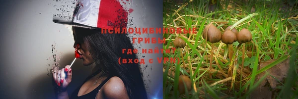 МДПВ Новодвинск