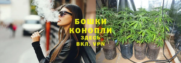 МДПВ Новодвинск
