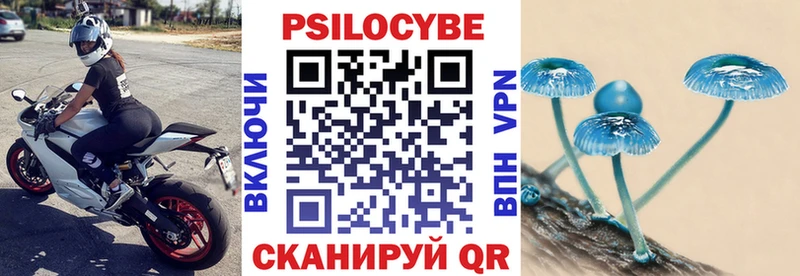 где продают наркотики  Нальчик  гидра онион  Галлюциногенные грибы GOLDEN TEACHER 