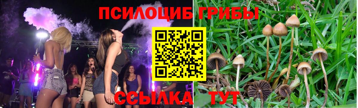 Нальчик  где купить наркоту  Вход с VPN  Галлюциногенные грибы MAGIC MUSHROOMS 