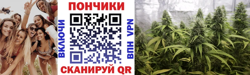 купить наркотик Нальчик darknet официальный сайт Марихуана план